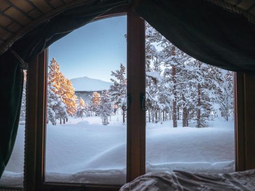 a view of a snow covered forest from a window at Eventyrhyttene i Jotunheimen in Stuttgongfossen