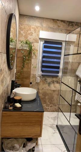 ein Bad mit einem Waschbecken und einem Spiegel in der Unterkunft Maison du Bonheur in Trélon