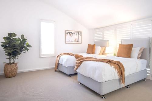 a bedroom with two beds and a potted plant at Spacious Seaside Oasis on Dicky Beach in Caloundra