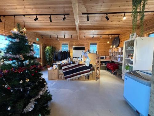 ein Zimmer mit einem Weihnachtsbaum in der Mitte in der Unterkunft おそとのてらす　南アルプス in Minami Alps