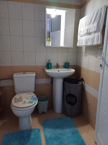 La salle de bains est pourvue de toilettes, d'un lavabo et d'un miroir. dans l'établissement Artemisia Apartment, à Koskinou
