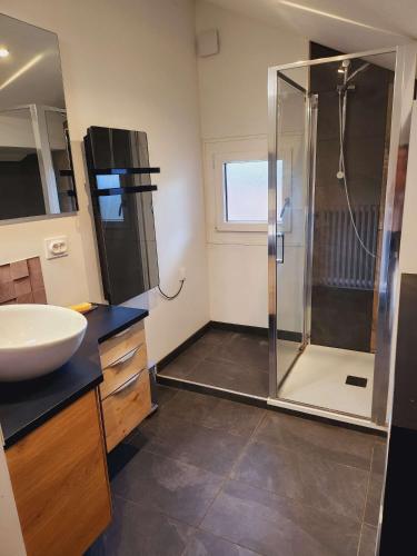 une salle de bain avec douche et lavabo dans l'établissement Les Balcons du Mont-Blanc : Appartement centre village, à Cordon