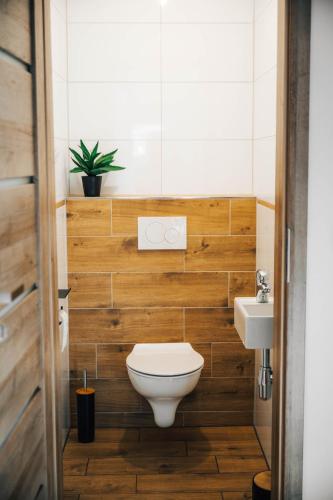 a bathroom with a toilet and a sink at Apartmány Na Vŕšku in Kežmarok