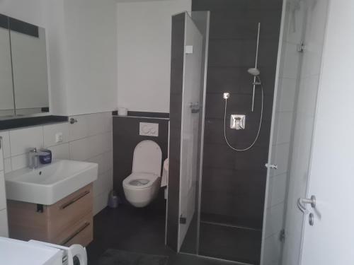 La salle de bains est pourvue de toilettes, d'un lavabo et d'une douche. dans l'établissement Anides, à Dillingen an der Donau