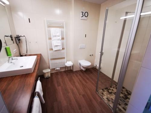 a bathroom with a shower and a sink and a toilet at Wander- & Wellnesshotel Nägele in Höchenschwand