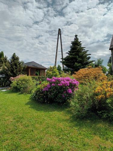 a group of flowers in a yard with a house at Kulibaba in Bystrzyca Kłodzka