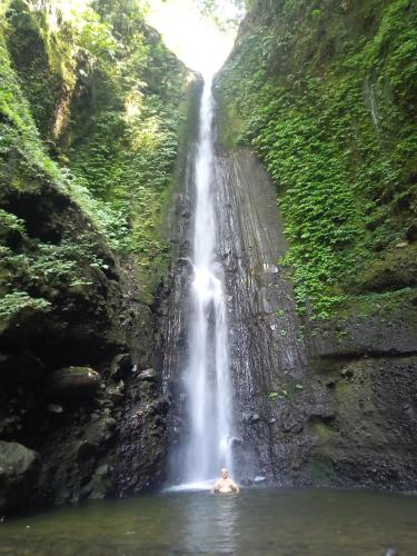 a man swimming in a pool in front of a waterfall at Coconut Homestay Tetebatu in Tetebatu