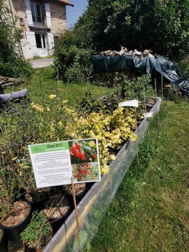 a garden with plants and a sign in the grass at La grange de Pierrot in Saint-Bazile
