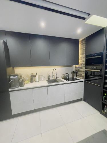 Dapur atau dapur kecil di Blue room
