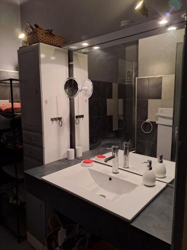 een badkamer met een wastafel en een grote spiegel bij maison de vacances SOREDE 5 KMS ARGELES SUR MER in Sorède