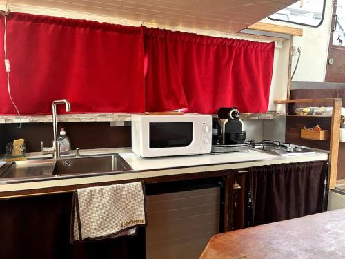 a kitchen with a sink and a microwave at Bateau / Vedette Hollandaise Ramonville-Saint-Agne in Ramonville-Saint-Agne