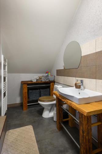 a bathroom with a sink and a toilet at Cidoniju māja in Kubuļi