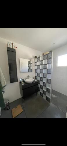 une salle de bain avec un lavabo et un miroir dans l'établissement Villa luxe Meyer’s beach, à Pinet