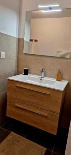 une salle de bain avec un lavabo et un miroir dans l'établissement Résidence Confort avec Piscine - Proche des plages, à Bonifacio