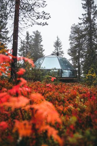 Zahrada ubytování Syöte Igloos