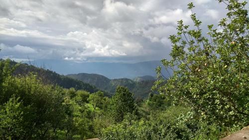 a view of a valley with trees and mountains at Ababeel Homestay, Hartola in Rāmgarh
