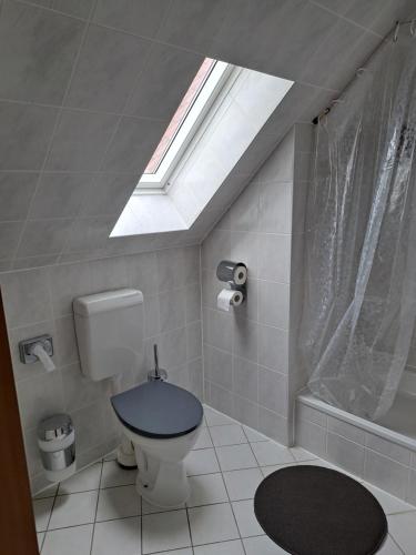 a bathroom with a toilet and a skylight at Pension 3 Ferienhof Hanstorf in Satow