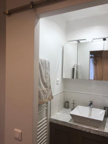 a bathroom with a sink and a mirror at Belle chambre privée avec douche et toilette indépendantes dans une magnifique villa in Andernos-les-Bains