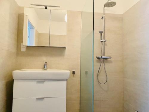 W łazience znajduje się umywalka i prysznic. w obiekcie Wien Apartment Heurigenstraße von Perchtoldsdorf w mieście Perchtoldsdorf