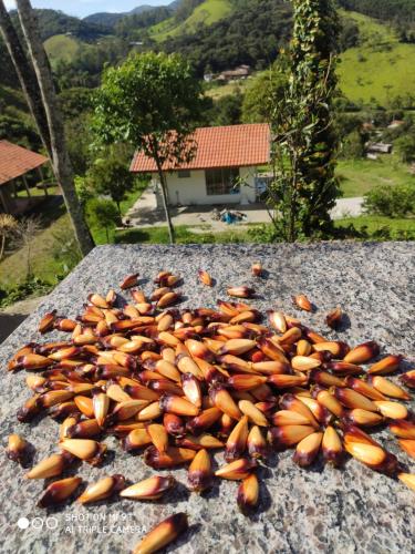 Landskap semula jadi dekat dengan chalet