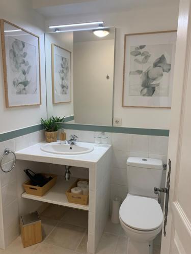 une salle de bain avec toilettes, lavabo et miroir dans l'établissement Chambre 2 dans un petit paradis, à La Londe-les-Maures