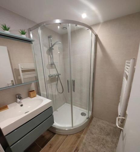 une salle de bain avec douche et lavabo dans l'établissement Le cocon du pêcheur, à Trouville-sur-Mer