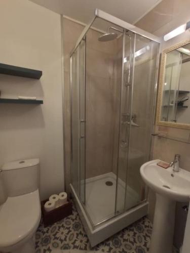 une salle de bain avec une douche, des toilettes et un lavabo dans l'établissement Maison de charme : Ti Pauline., à Dinan