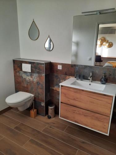 La salle de bains est pourvue d'un lavabo, de toilettes et d'un miroir. dans l'établissement Petit coin de paradis, calme et confort garantie !, à Montauban
