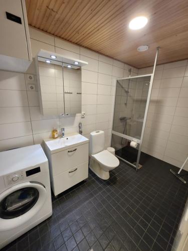 a bathroom with a washing machine and a toilet at Viihtyisä täysin kalustettu ja varustettu yksiö Logomolla 1vrk-36kk in Turku