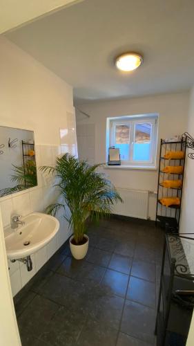 a bathroom with a sink and a potted plant at Haus Hillinger in Salzburg