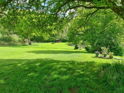 a field of grass with a tree casting a shadow at Pheasants Roost With Indoor Pool In Devon in Broadwoodkelly