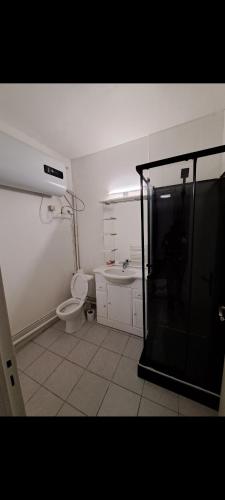 een badkamer met een douche, een toilet en een wastafel bij Charmant studio en plein centre ville et 3 minutes de la gare in Saint-Quentin
