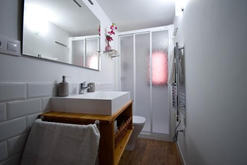 La salle de bains blanche est pourvue d'un lavabo et d'une douche. dans l'établissement Casa Rural El Sobraillo, à Villanueva de la Vera