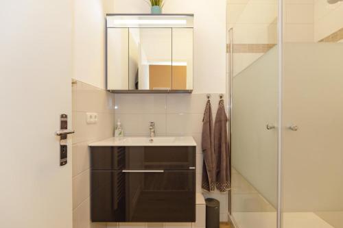 a bathroom with a sink and a shower at Stolz-Butze Whg 19 in Kühlungsborn