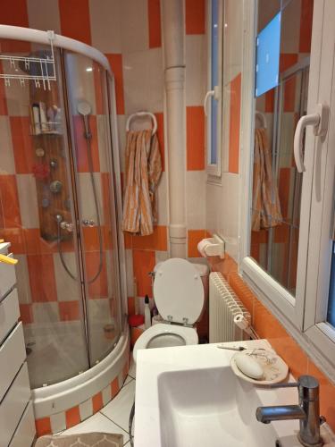 une salle de bain avec une douche, des toilettes et un lavabo dans l'établissement Appartement de charme pres de Montmartre, à Paris