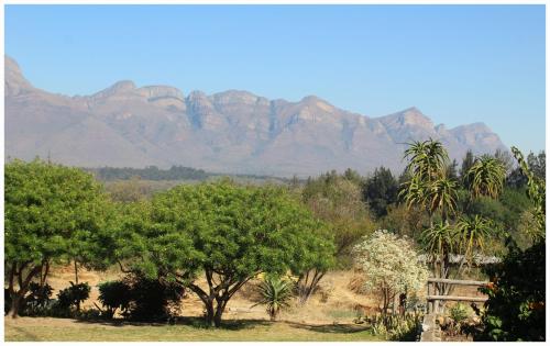 a group of trees with mountains in the background at Blyde Mountain Country House in Hoedspruit