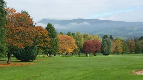 un campo verde con alberi e montagne sullo sfondo di BARNAHOWN, Mitchelstown a Mitchelstown