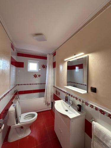 a bathroom with a white toilet and a sink at Apartament Pruneanu in Câmpia Turzii