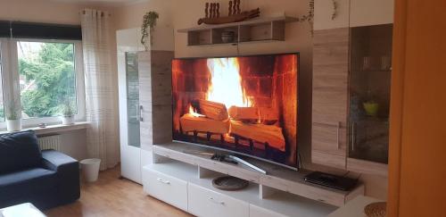 a living room with a television with a fire in it at Moderne Zimmer im Grünen, mit Park- und Meer-Nähe in Bad Zwischenahn