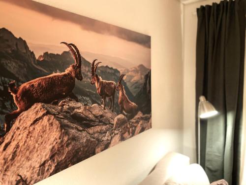 Galeriebild der Unterkunft Allgäu Neschd in Oberreute