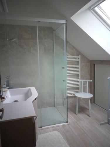 bagno con doccia in vetro e lavandino di 43 PMC a Châteauroux