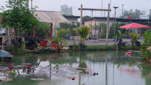 a body of water with lilies in it at เช็คอินรีสอร์ทชัยนาท Check-in resort in Ban Khao Khayai (1)