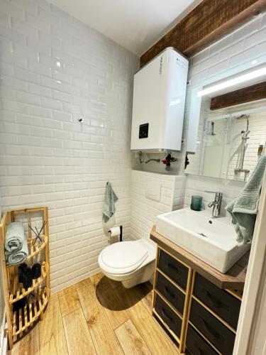 une salle de bain avec des toilettes blanches et un lavabo dans l'établissement Le Pétramale - Cœur de ville - Navette Parking, à Avignon