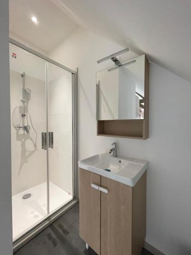 y baño con lavabo y ducha. en Maison de ville Valenciennes proche Lille, Villeneuve-d'Ascq - 6 chambres avec 6 lits doubles, en Anzin