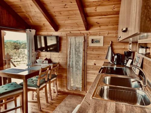 a kitchen with a sink and a table in a cabin at The Treevilla in Protópappas