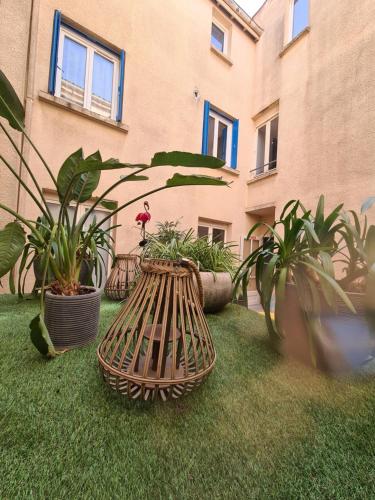a group of potted plants in front of a building at Hôtel de la Mer in Valras-Plage