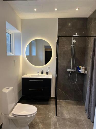 uma casa de banho com um WC, um lavatório e um chuveiro em Dragsgaard Herregård 