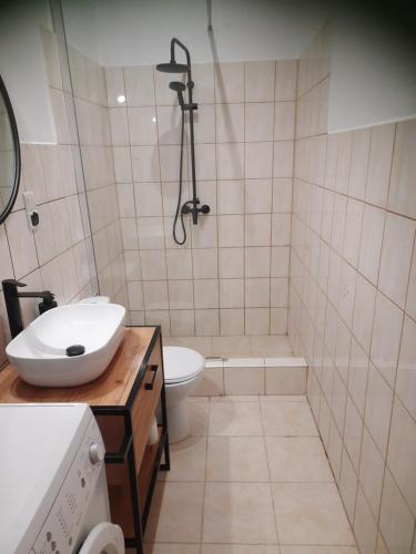 a bathroom with a sink and a shower and a toilet at Apartament pod Dębem in Dąbki