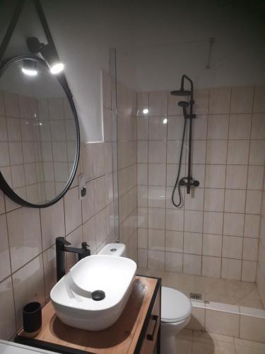a bathroom with a sink and a shower and a toilet at Apartament pod Dębem in Dąbki