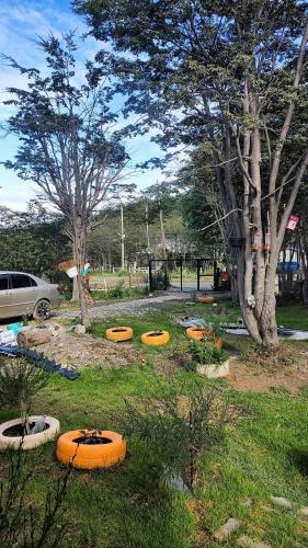 a group of frisbees laying on the grass in a park at Pali House in Ushuaia